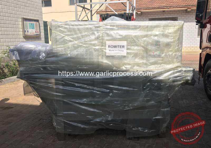 Automatic-Garlic-Clove-Peeling-Machine-for-Poland-Customer